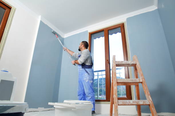 Best Drywall Removal and Disposal  in River Hills, WI